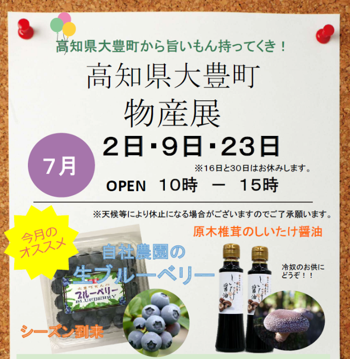 高知県大豊町物産展ビジュアル