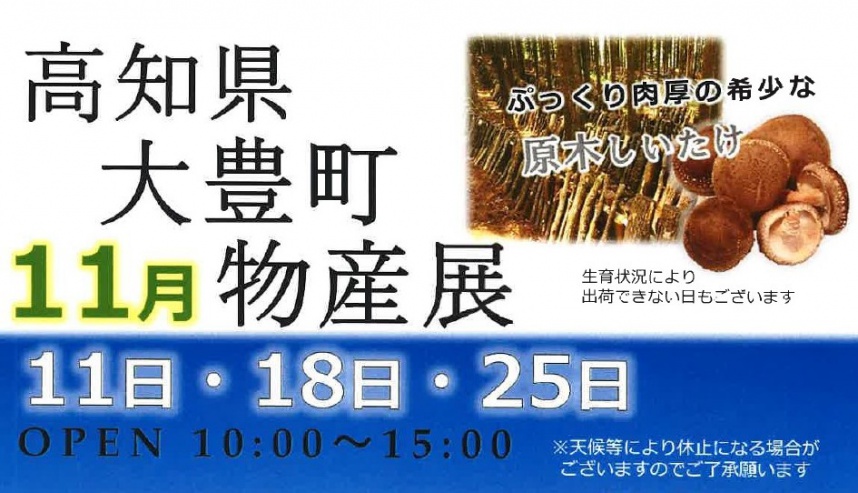 高知県大豊町物産展ビジュアル